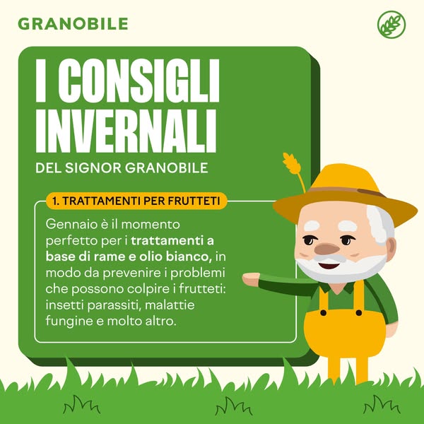 I CONSIGLI INVERNALI DEL SIGNOR GRANOBILE